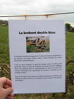 Charrue brabant double bisoc (30eme fete des moissons de Saint-Jean-de-Touslas) (txt)